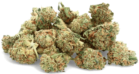 10GR OFFERTS - Trippy Treats