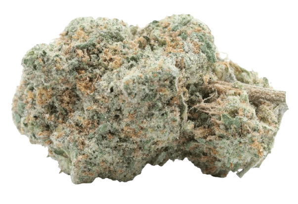 Échantillons Fleurs TRX - Trippy Treats