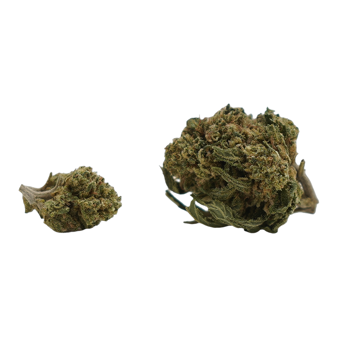Cookie Kush CBD Small Buds