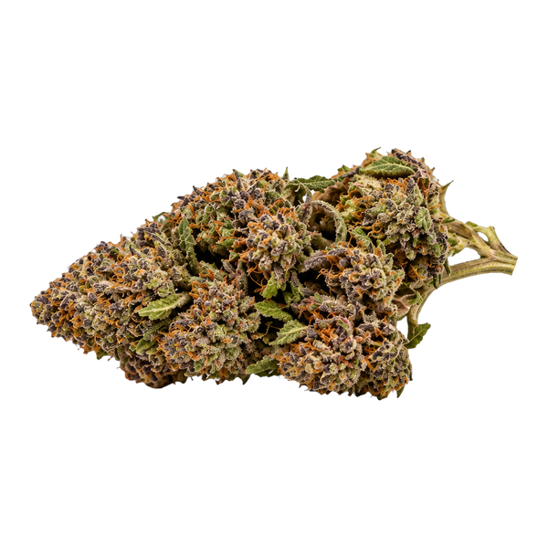 Pumpkin Haze CBD