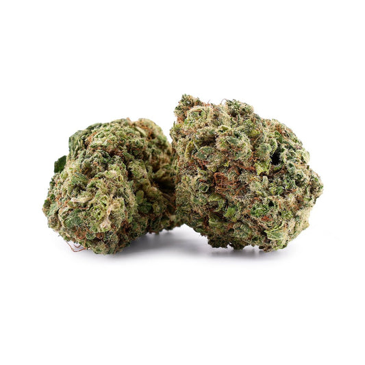 Purple Punch Small Bud TRX - Trippy Treats