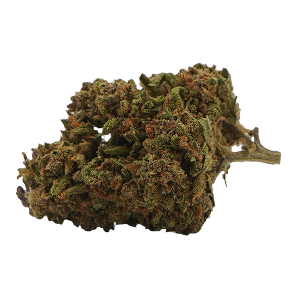 Tropical Haze CBD